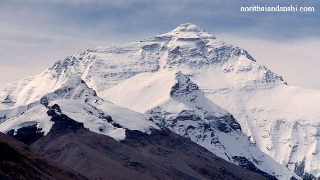 Gunung Tertinggi di Indonesia & Fakta Menariknya